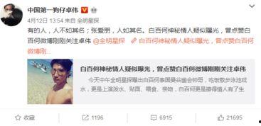 湛江出轨爆料案件最新,真相与争议交织的婚姻悬疑剧